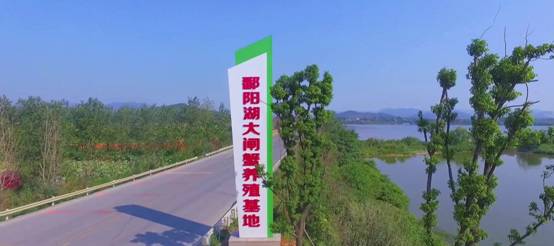 “首届鄱阳湖清水大闸蟹文化艺术节”在江西彭泽盛大开幕