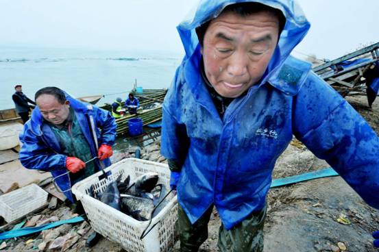 江西鄱阳：渔民喜丰收 回家过大年