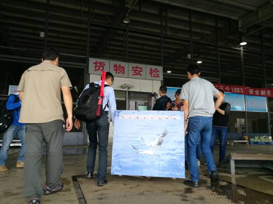 江西首次跨省救助白鹤放飞（组图）