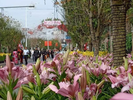 2018江西南昌“秋之恋”花卉艺术节在梅湖景区开幕
