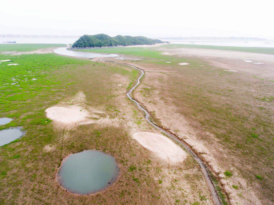 鄱阳湖跌破10米枯水线 滩涂变草原