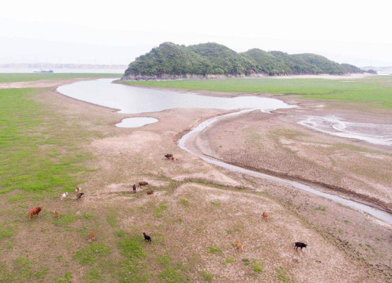 鄱阳湖跌破10米枯水线 滩涂变草原